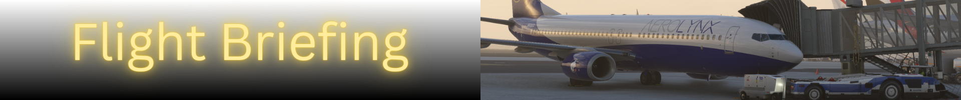 Banner / Image